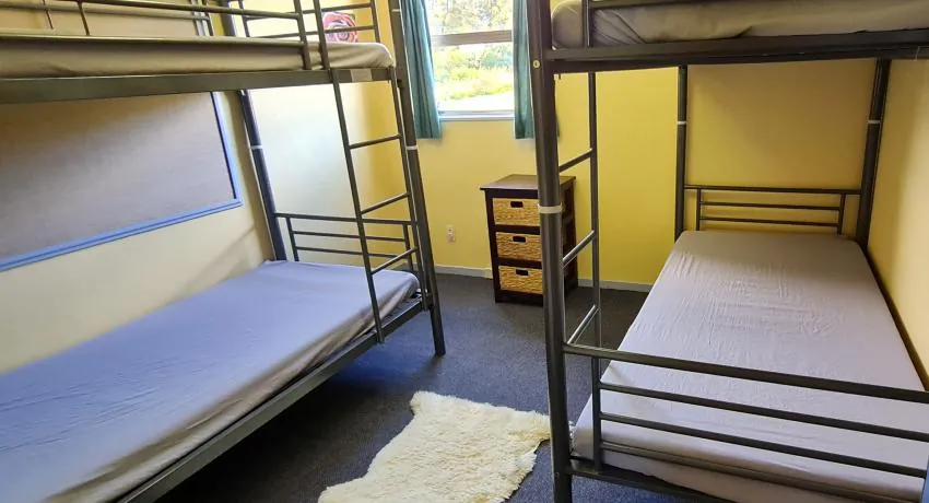 Single Bunk Bed (Shared)
